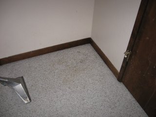 Santa Cruz Carpet Cleaning After